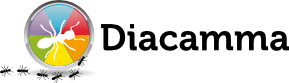 Diacamma